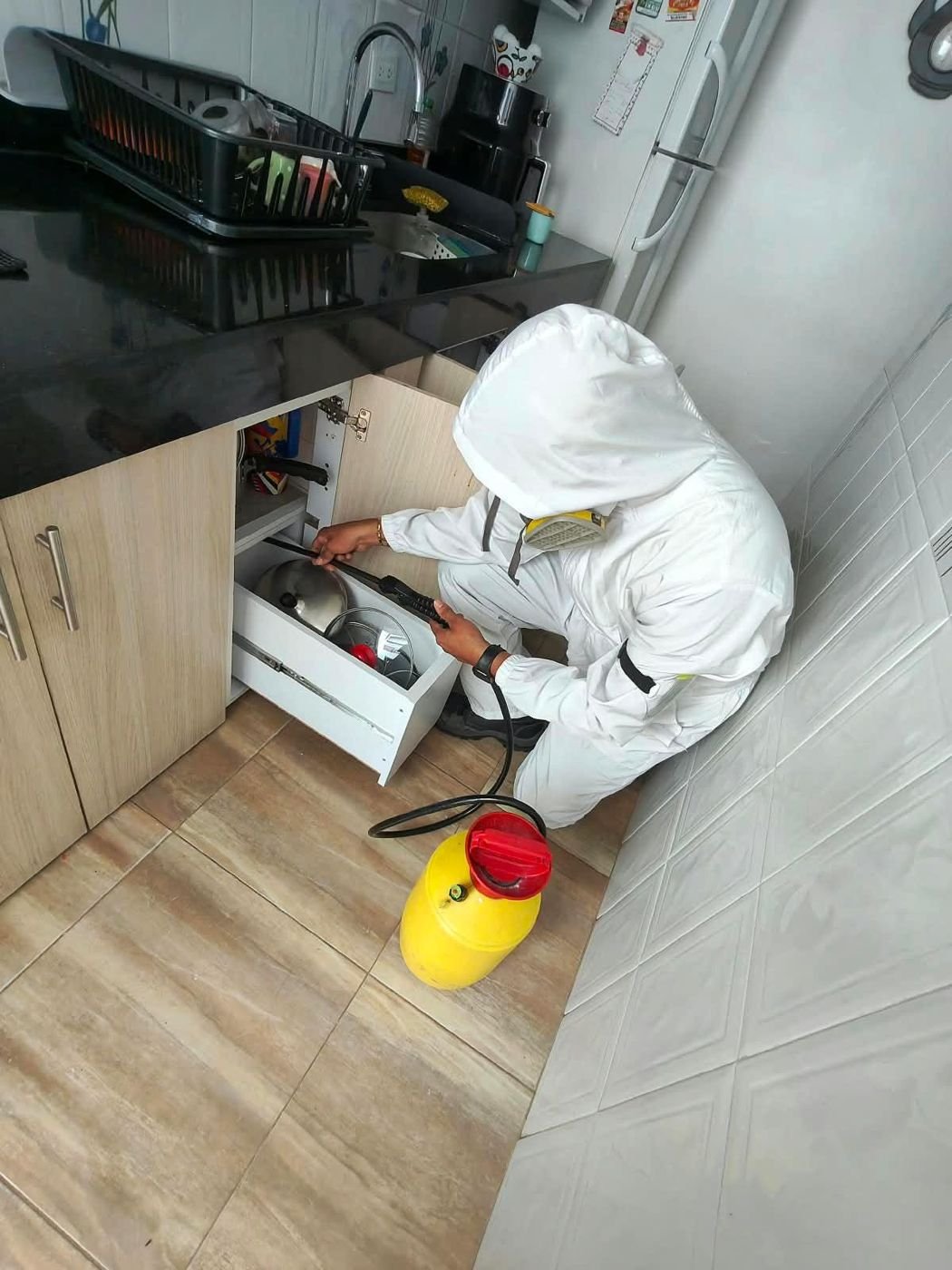 Control de plagas: Fumigación de gabinetes de cocina